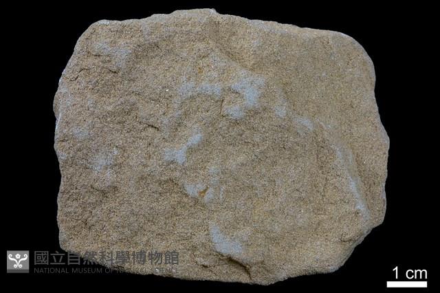 砂岩藏品圖，第1張