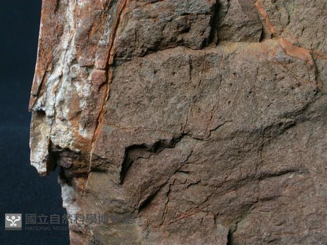 方沸石煌綠岩(沸綠岩)藏品圖，第1張