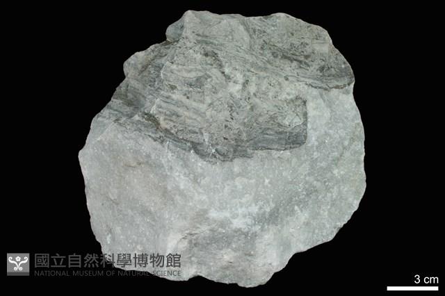大理岩藏品圖，第1張