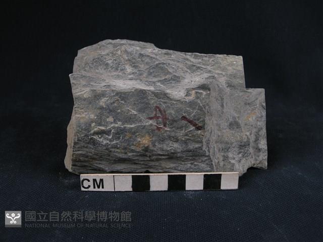 雲母石英片岩藏品圖，第1張