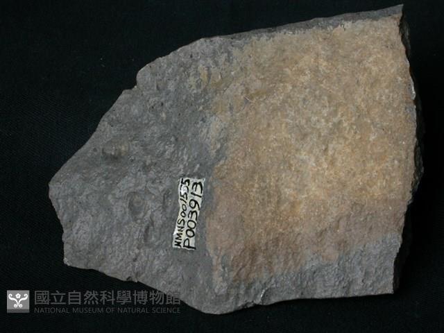 安山岩藏品圖，第1張
