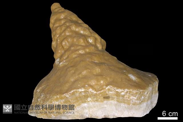 鐘乳石藏品圖，第1張