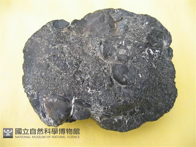 玻璃質玄武岩藏品圖，第1張