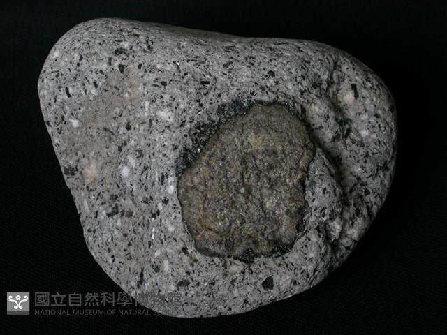 黑雲母角閃石安山岩藏品圖，第1張