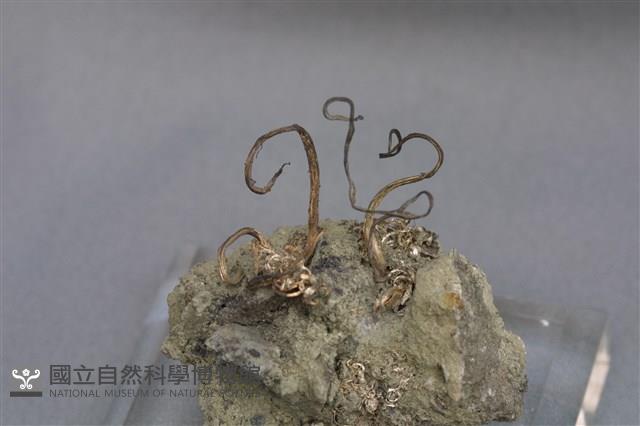 自然銀藏品圖，第6張