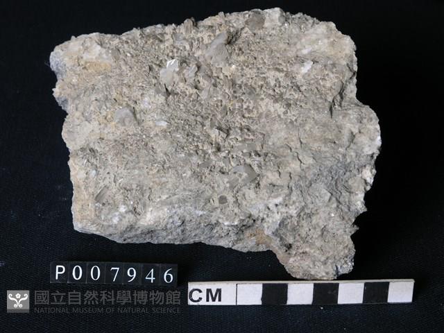 矽質片岩藏品圖，第1張