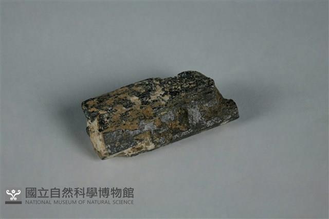 普通角閃石藏品圖，第1張