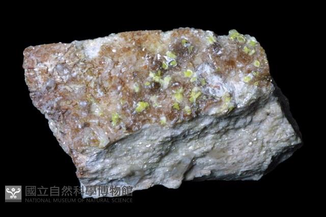 多矽鈣鈾礦藏品圖，第1張