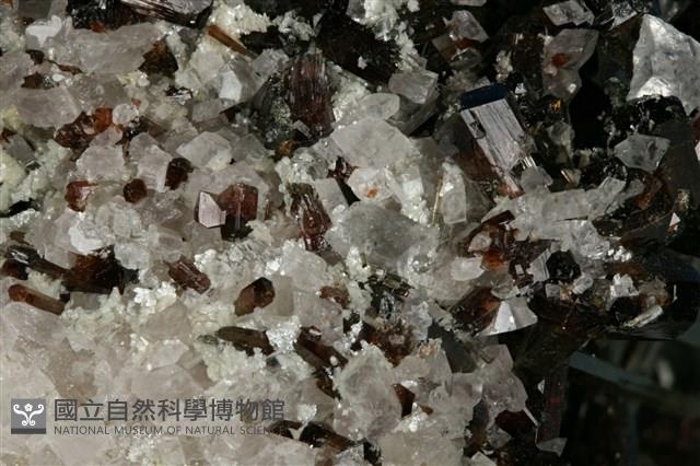 鈣鎂電氣石/菱鎂礦藏品圖，第6張