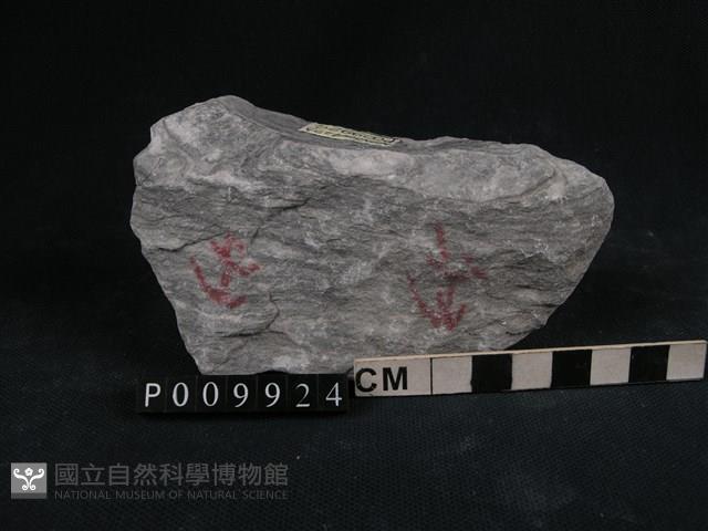 石英片岩、綠泥石片岩藏品圖，第1張