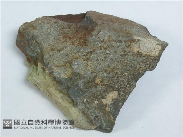 矽質岩藏品圖，第1張