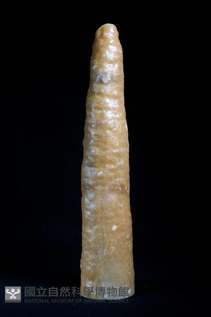 鐘乳石藏品圖，第1張