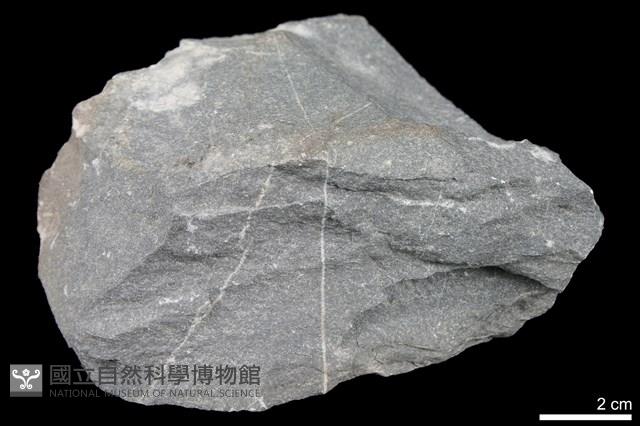 變質砂岩藏品圖，第1張