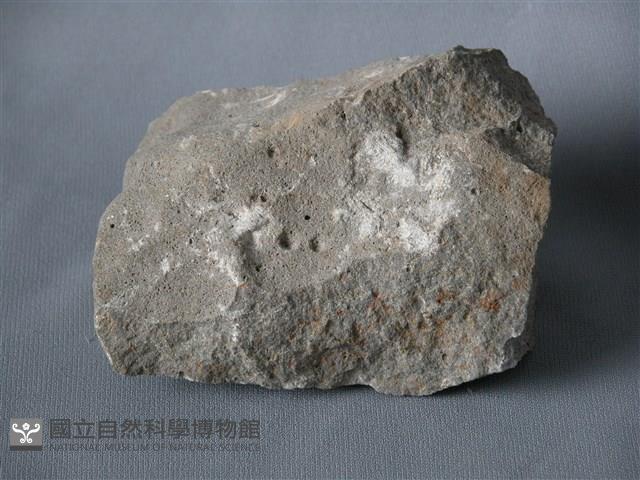 玄武岩藏品圖，第1張