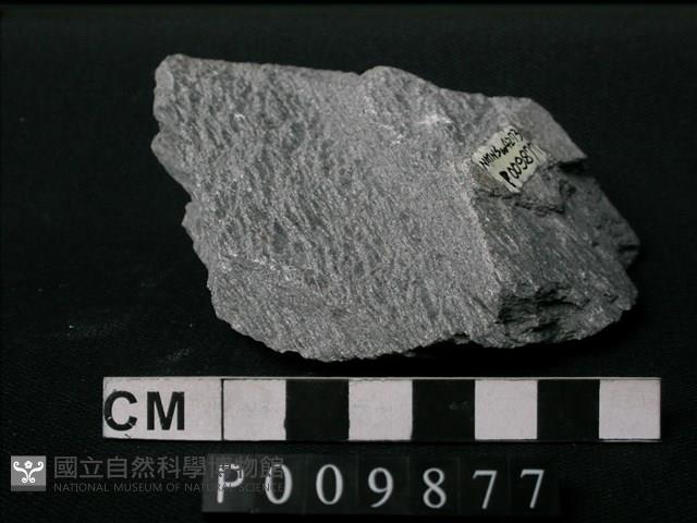 片岩藏品圖，第1張