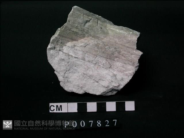 矽化大理石藏品圖，第1張