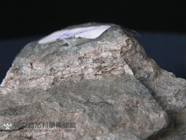 矽質片岩藏品圖，第1張