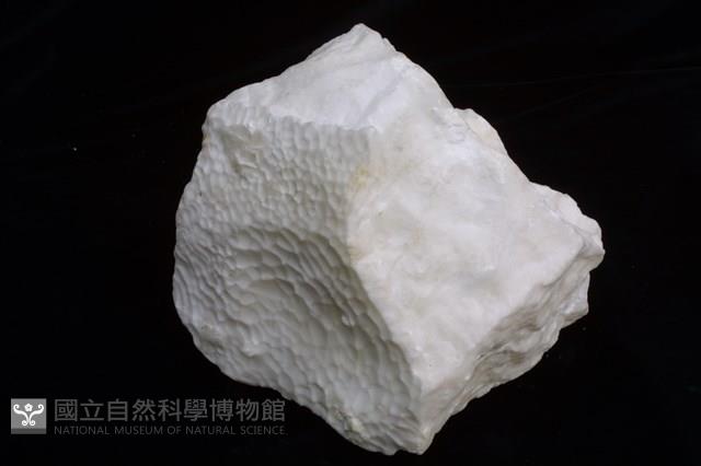 石膏藏品圖，第1張