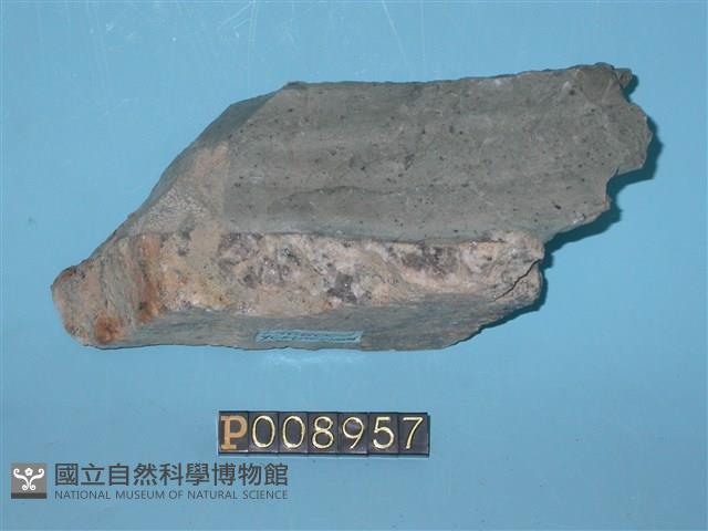煌斑岩藏品圖，第1張