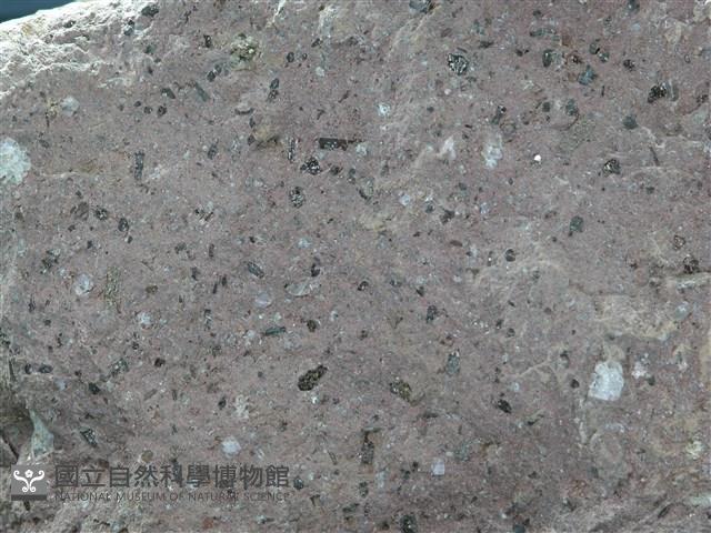 火山碎屑岩藏品圖，第1張