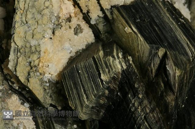 雲母藏品圖，第6張