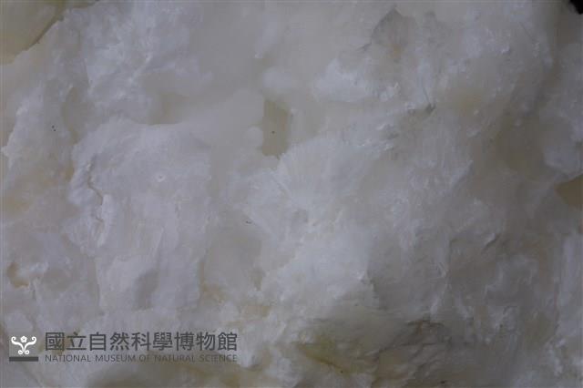 霰石藏品圖，第11張