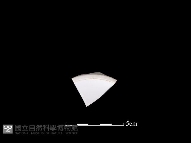 瓷片藏品圖，第3張