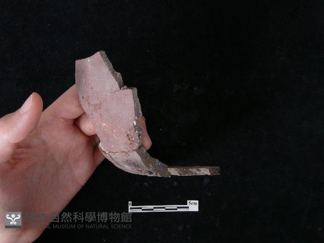 陶片藏品圖，第3張