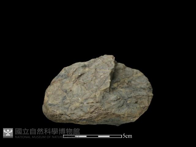 石球藏品圖，第3張