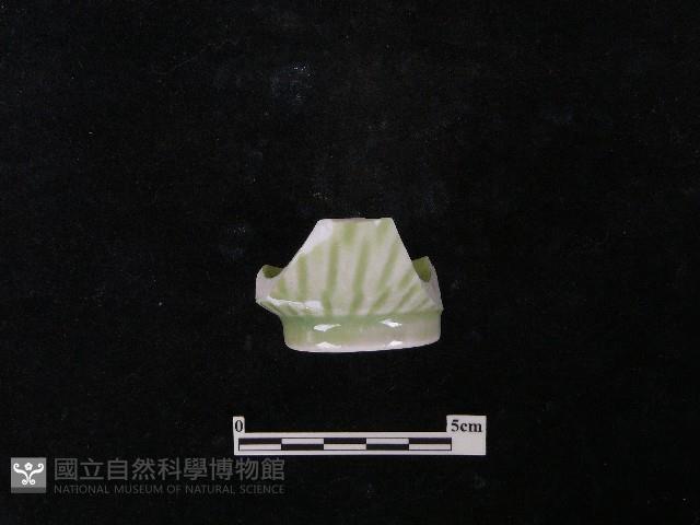 瓷杯藏品圖，第3張