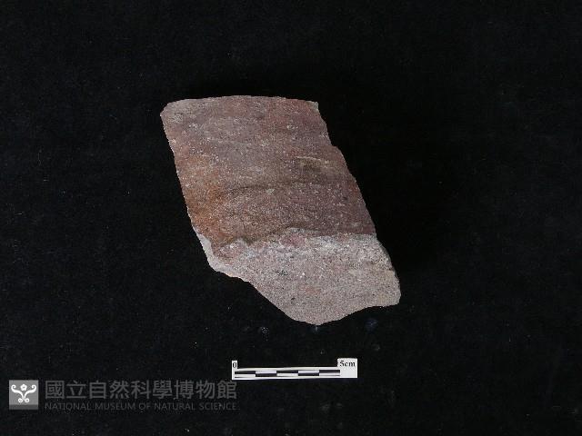 陶片藏品圖，第3張