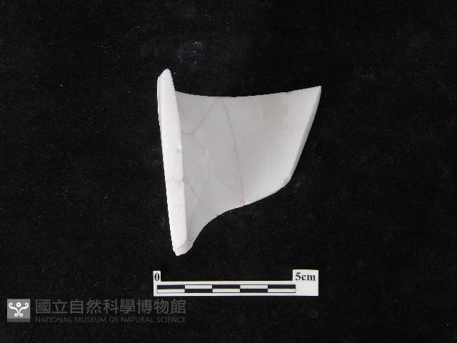 瓷片藏品圖，第3張