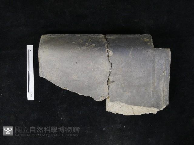 瓦片藏品圖，第1張