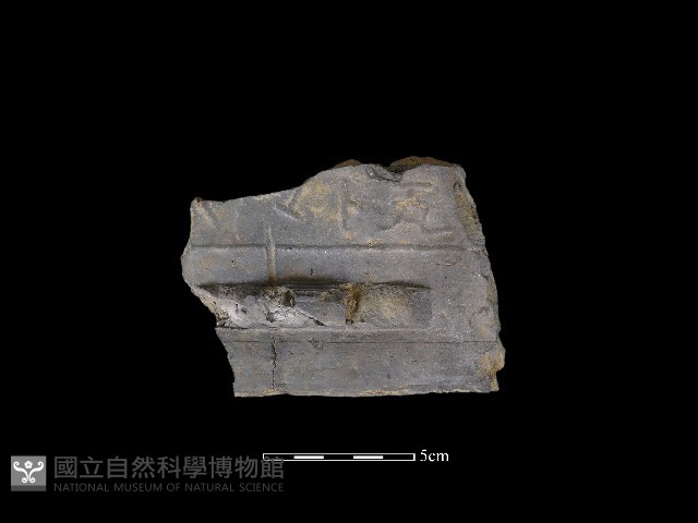 瓦片藏品圖，第3張