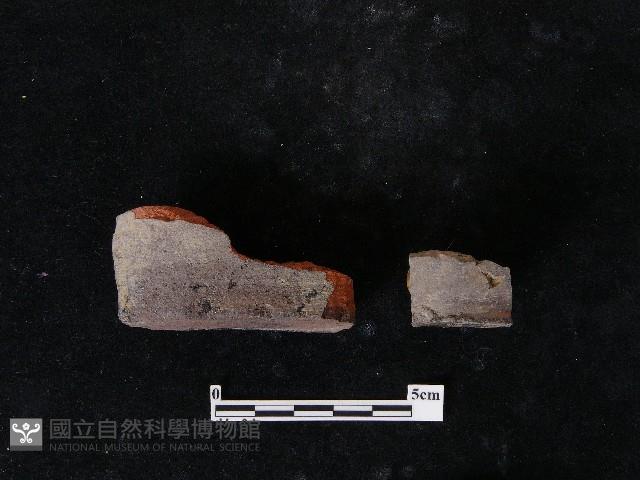 陶片藏品圖，第3張