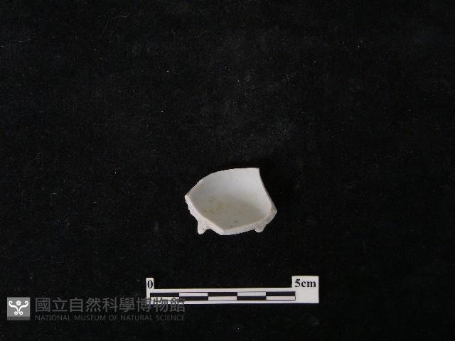 瓷杯藏品圖，第1張