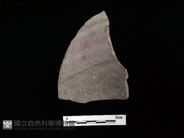 陶片藏品圖，第3張