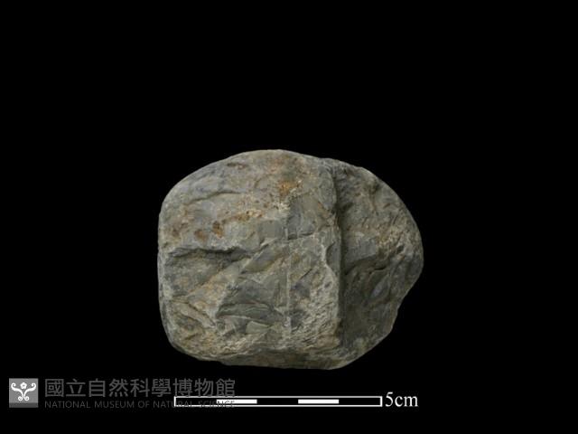 石球藏品圖，第3張