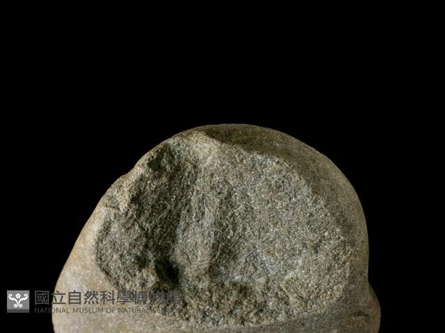 石核藏品圖，第3張