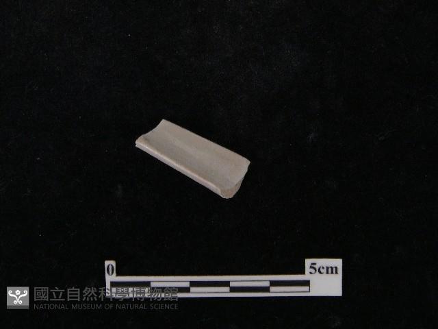 湯匙藏品圖，第3張