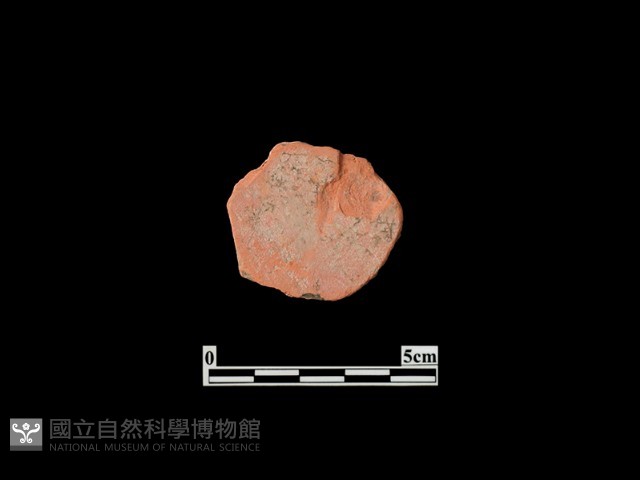 玩具藏品圖，第3張