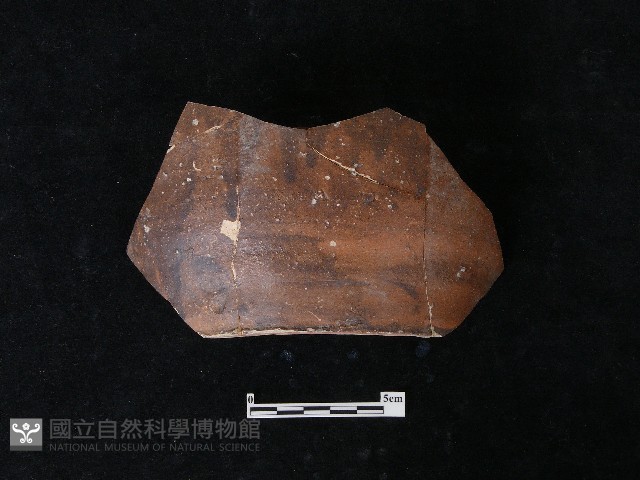 陶片藏品圖，第3張
