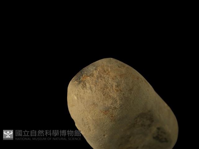 石鎚藏品圖，第4張