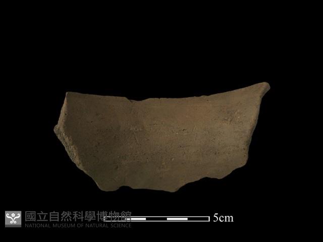 陶片藏品圖，第1張