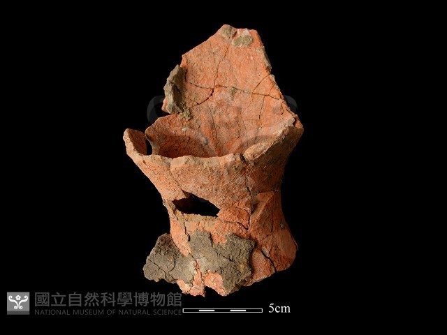 連杯形器藏品圖，第4張
