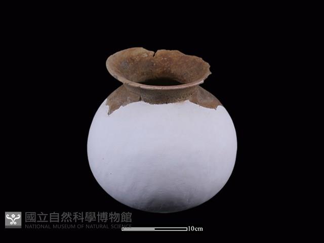 陶罐藏品圖，第4張