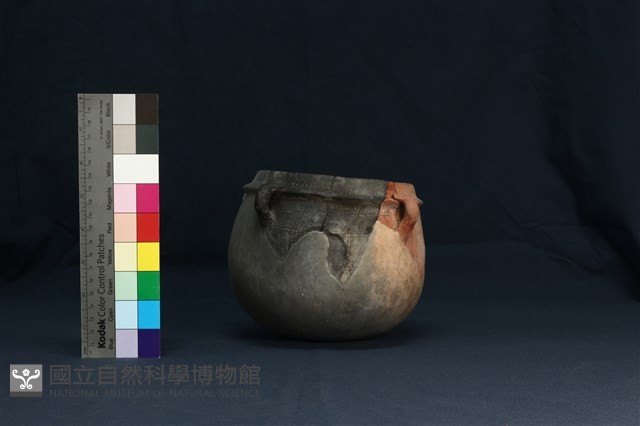 陶罐藏品圖，第4張
