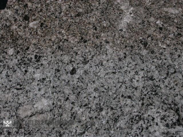 黑雲母角閃石安山岩藏品圖，第3張