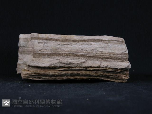 石灰質片岩藏品圖，第3張