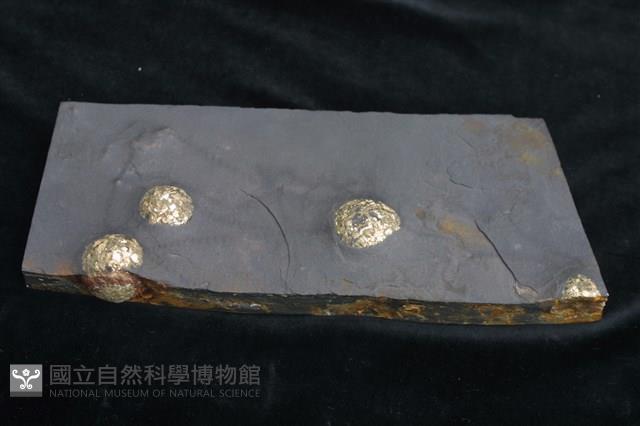 黃鐵礦藏品圖，第4張
